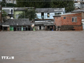 Dirigente vietnamita comparte pérdidas con víctimas de fuertes lluvias en Brasil