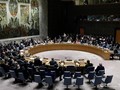 Consejo de Seguridad rechaza una investigación solicitada por Moscú sobre el Nord Stream