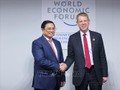 Experta neozelandesa: Vietnam es un centro de comercio e innovación de Asia-Pacífico 