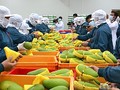 越南是世界15大农产品出口国之一