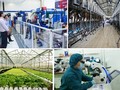 L’émulation patriotique dans le domaine scientifico-technologique