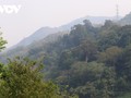 Bewahrung des Waldes „General Vo Nguyen Giap“