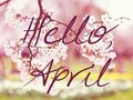 Halo April