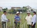 Bauern verbessern ihre Lebensumstände mit Spargel-Anbau