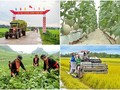 Vietnam will 2023 die Armutsrate von 1 bis 1,5 Prozent reduzieren