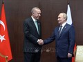 Russlands Präsident Putin kann die Türkei besuchen