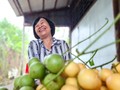 Bewohner in U Minh entwickeln Tourismus in Gärten birmanischer Trauben
