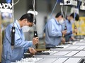 베트남, 미국 기업들의 매력적인 시장