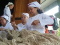 응에안성 토 소수민족의 모시 해먹 뜨개질 전통 공예
