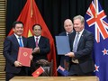 베트남-뉴질랜드 고위급 회담, 양국 관계 격상 지향
