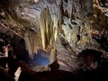 퐁냐-깨방 국립공원 내 22개 새로운 동굴 발견