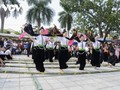 泰族摆手舞——西北泰族社区文化之美