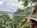 Bach Long, the world's longest glass bridge recognized by Guinness World Records
