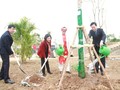Tree Planting Festival launched nationwide