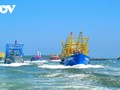 Quang Nam awakes marine economic potential based on Chu Lai Economic Zone