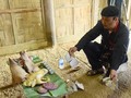 Tomb Sweeping Festival of the Dao pays gratitude to ancestors