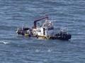 Japan says no tritium found in fish 1 month after Fukushima water release 
