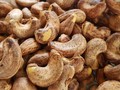 La production et l’exportation des noix de cajou du Vietnam
