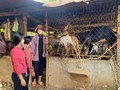 Memperbaiki Mata Pencaharian Perempuan Etnis Minoritas di Kotamadya Buon Ho, Provinsi Dak Lak
