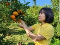 Saudari Vu Thi Le Thuy, Teladan dalam Melakukan Usaha Ekonomi Pedesaan di Provinsi Hoa Binh