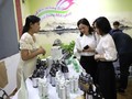 ハイフォン市における女性のスタートアップ運動の推進
