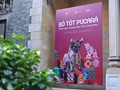 Hanoi exhibition spotlights Peru’s bull art 