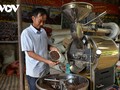 Son La farmers become well-off by growing coffee