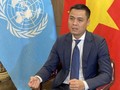 Vietnam vows active contribution to Francophone Summit