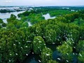 “Bird Islet Ecological Area” creates a green oasis in Binh Dinh