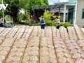 An Ngai rice paper village finds efficient development path