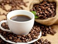 La France soutient le renouveau de la caféiculture dans le Nord-Ouest Vietnam