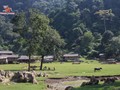 Khám phá ngôi làng nguyên sơ “Hang Táu”, Mộc Châu, Sơn La