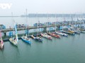 Cận cảnh 11 chiếc thuyền buồm Clipper Race tại Hạ Long