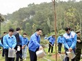 Chủ tịch Quốc hội dự Lễ khởi động Tháng Thanh niên năm 2024 và Tết trồng cây