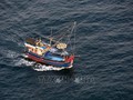 越南渔业协会反对中国单方面实施2022年东海禁渔令