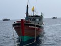 海军第三区指战员营救在海上遇险的广平省渔船