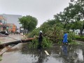 台风“奥鹿”登陆越南，中部多地下大雨