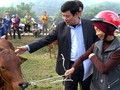 全力脱贫减贫，首都河内社会民生的亮点