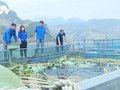 帮助山罗青少年创业的动力