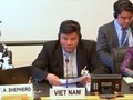 越南在促进少数民族权利方面取得重要的进步