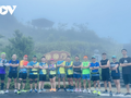 山茶半岛环保跑步比赛首次举行