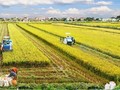 可持续发展农业：越南负责任的发展方向