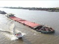 发挥内河航运在经济中的作用。