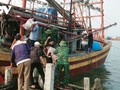 越南与中国配合，搜救广平省10名失联渔民