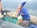 渔民“把垃圾带上岸”，携手保护海洋环境