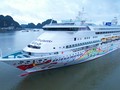下龙湾迎来载着630多名游客的国际游轮