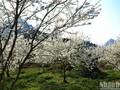 体验“白色高原——北河”