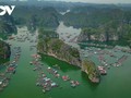 Die magische Schönheit des Weltnaturerbes “Halong-Bucht – Cat-Ba-Archipel”
