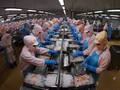 Chance zum Export vietnamesischer Exportschlager in die VAE