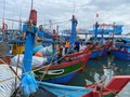 Provinsi-Provinsi di Vietnam Tengah Giat Menghadapi Taupan Noru